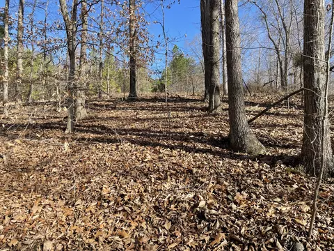 0 Wyatt Hollow Rd, Big Rock, TN 37023