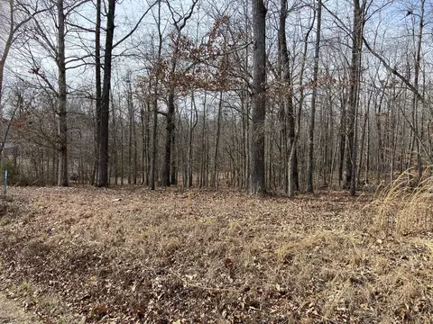 0 Carl Willis Rd, Flintville, TN 37335