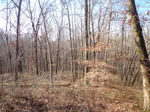 0 Deer Grass Ln, Hurricane Mills, TN 37078