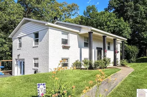 148 Green Hill Dr, Grand Rivers, KY 42045