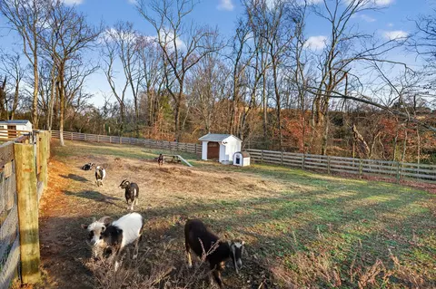 Exterior - 1677 Blackburn Ln, Spring Hill, TN 37174 photo 13 of 21