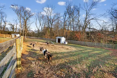 Exterior - 1677 Blackburn Ln, Spring Hill, TN 37174 photo 12 of 21