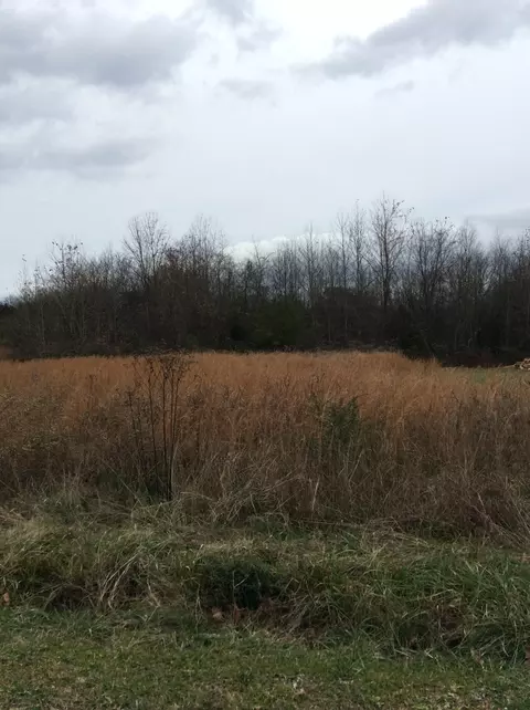 13 Old Hwy, Linden, TN 37096