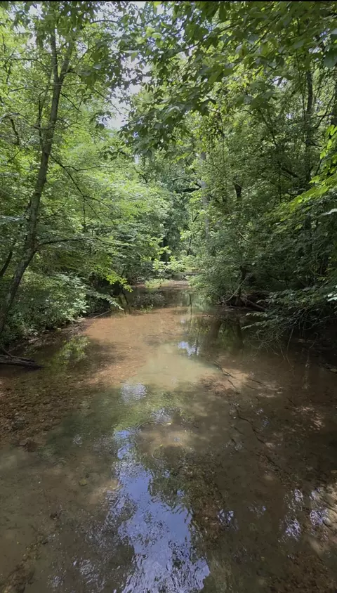 0 Rock Springs Rd, Ethridge, TN 38456