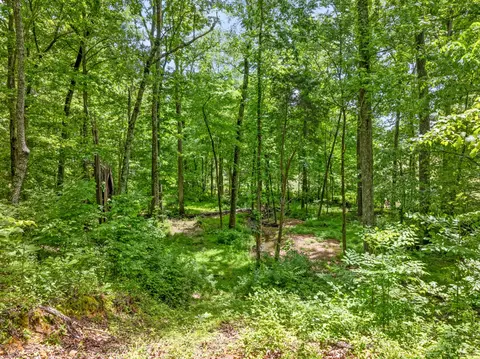 Exterior - 3791 Sylvia Rd, Dickson, TN 37055 photo 14 of 14