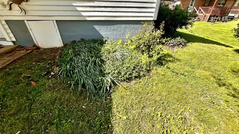 Exterior - 518 2nd Ave S, Loretto, TN 38469 photo 13 of 15