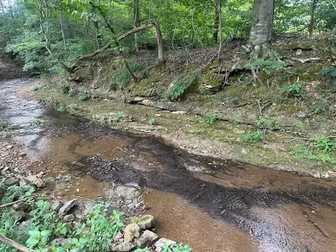 2143 Blue Springs Rd, Ashland City, TN 37015