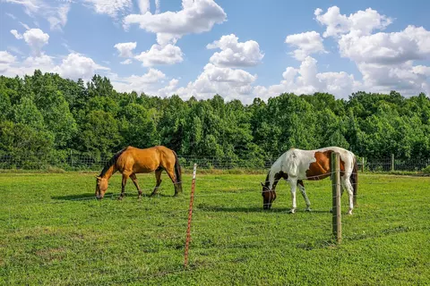 227 Bar Rd, Baxter, TN 38544 photo 28