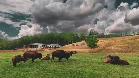0 Eagle Pass, Joelton, TN 37080 photo 17