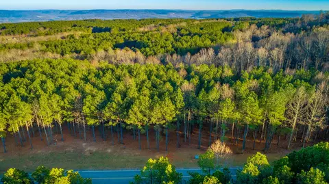 0 Compass Dr, Jasper, TN 37347 photo 19