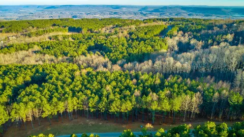 0 Compass Dr, Jasper, TN 37347 photo 16