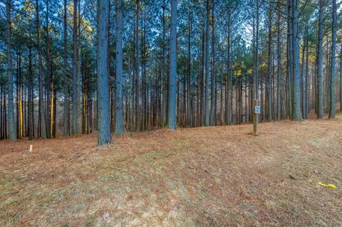 0 Compass Dr, Jasper, TN 37347 photo 7