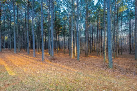 0 Compass Dr, Jasper, TN 37347 photo 4