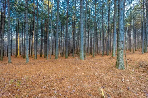 0 Compass Dr, Jasper, TN 37347 photo 6