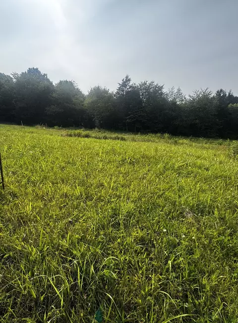 6481 Kelly Willis Rd, Greenbrier, TN 37073