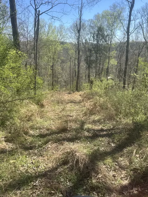 0 Glasgow Branch Rd, Hartsville, TN 37074