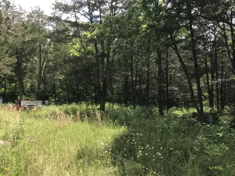 1981 Luther Sharp Rd, Columbia, TN 38401