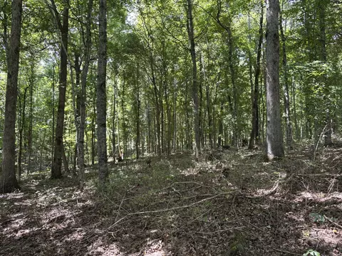 0 Middle Lick Creek Rd, Lyles, TN 37098