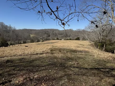 4 N Lick Creek Rd, Franklin, TN 37064