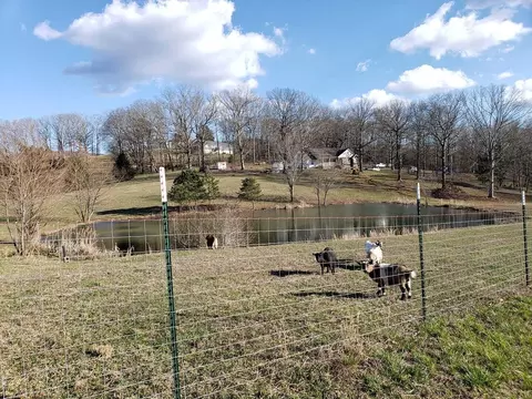 1814 Hudlow Loop Rd, Dunlap, TN 37327 photo 34