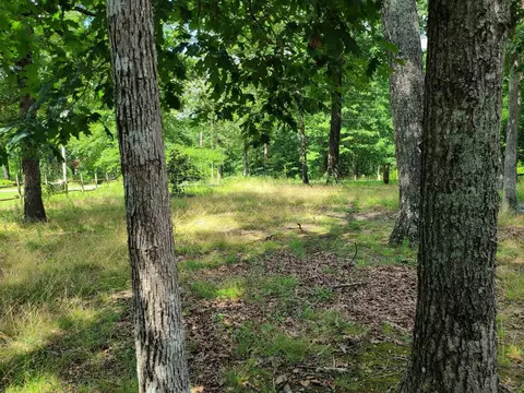 1327 Lakeshore Dr, Beechgrove, TN 37018