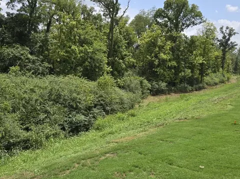 Other - 4145 Oswin Dr, Murfreesboro, TN 37129 photo 6 of 12