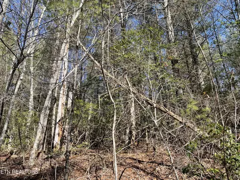 24 Chipman Ct, Crossville, TN 38558