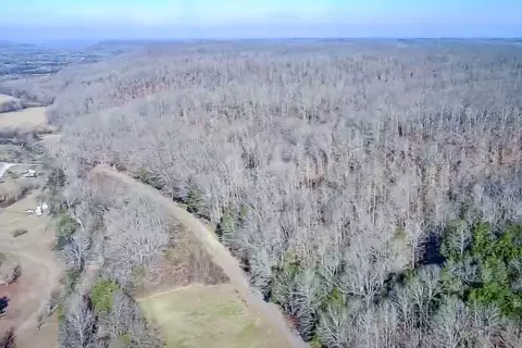 0 Mayberry Prong Rd, Linden, TN 37096