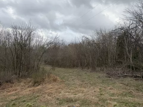 0 City Park Rd, Westmoreland, TN 37186