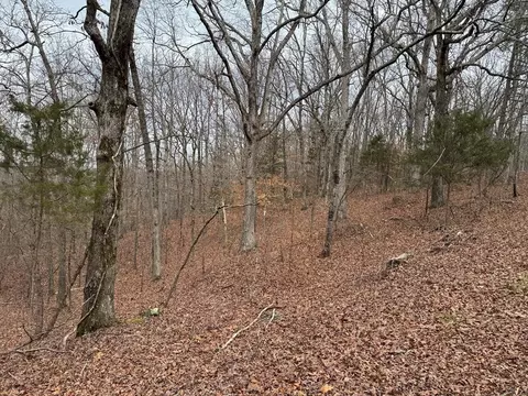 613 Williams Grove Rd, Camden, TN 38320