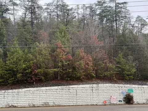 0 Birds Crk, Sevierville, TN 37876