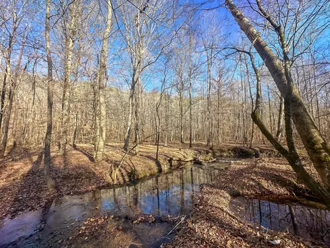 0 Indian Creek Rd, Hohenwald, TN 38462
