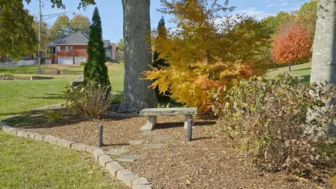 Exterior - 2003 Tammy Dr, Springfield, TN 37172 photo 7 of 17