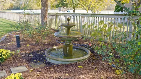 Exterior - 2003 Tammy Dr, Springfield, TN 37172 photo 12 of 17