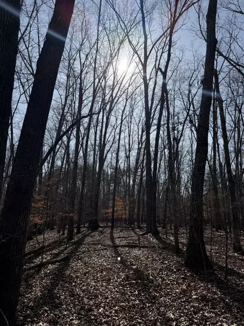 0 Step Rock Hill Rd, Cookeville, TN 38506