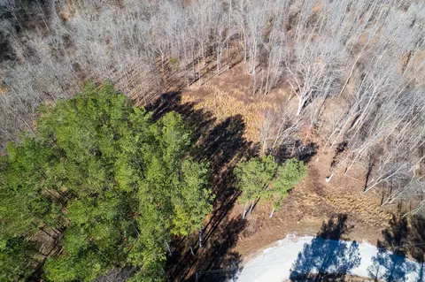 2340 Bear Hollow Dr, Waverly, TN 37185