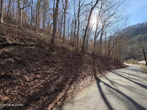 597 Avondale Hollow Rd, Rutledge, TN 37861