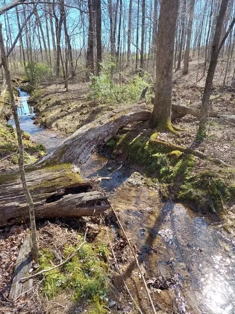 0 Pinewood Rd, Primm Springs, TN 38476
