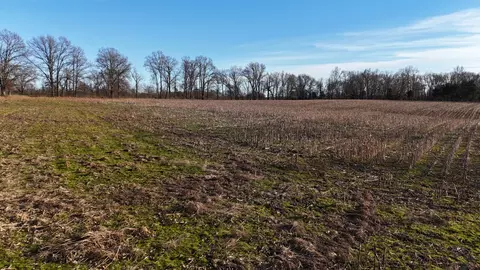 0 Highway 79, Mckenzie, TN 38201