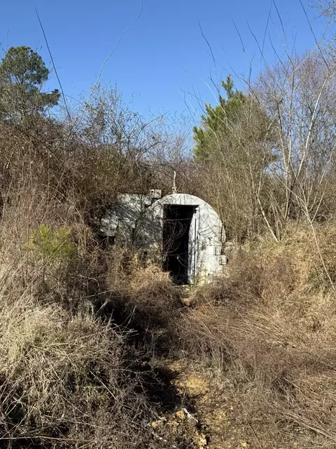 584 Rabbit Trail Rd SE, Leoma, TN 38468 photo 17