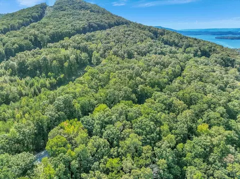 0 Browbend Dr, Guild, TN 37340 photo 3