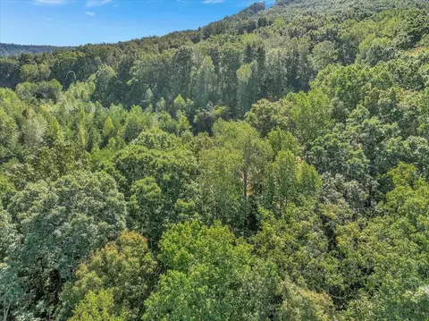 0 Browbend Dr, Guild, TN 37340 photo 8