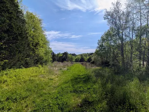 0 Ladd Springs Rd, Old Fort, TN 37362