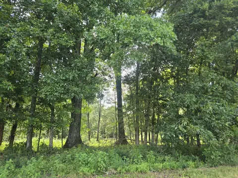 0 Nashville Hwy, Lewisburg, TN 37091