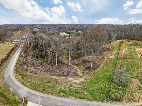 0 Goose Branch Rd, Lynchburg, TN 37352