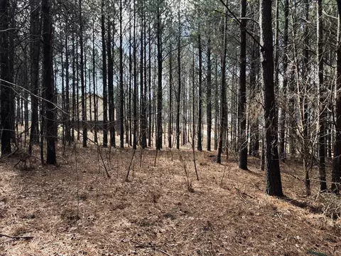 3290 Crockett Pt, Jasper, TN 37347