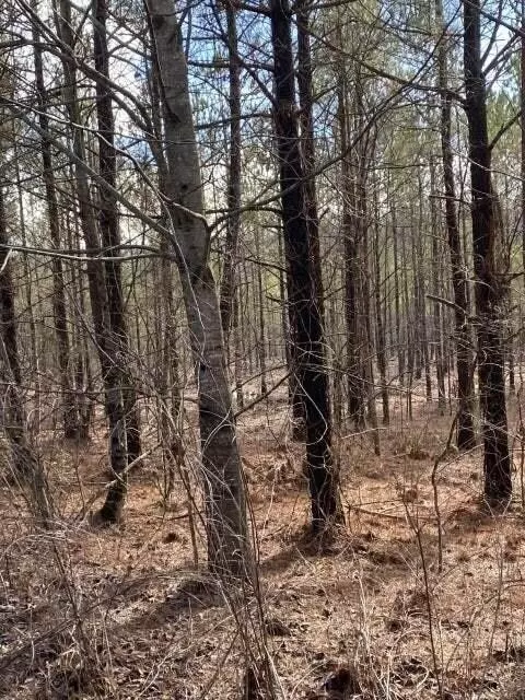 3 Thomas Springs Rd, Crossville, TN 38572