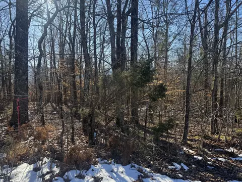 280 Chapman Rd, Dunlap, TN 37327 photo 4