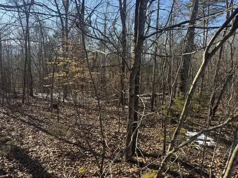 280 Chapman Rd, Dunlap, TN 37327 photo 5