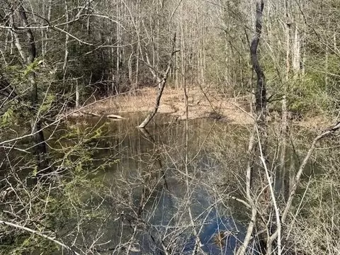 200 Red Rock Canyon Rd, Graysville, TN 37338